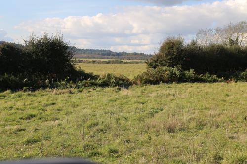 Rural landscape at the Stokeford site