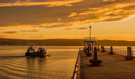 Dorset LEP COVID-19 advice to local aquaculture industry