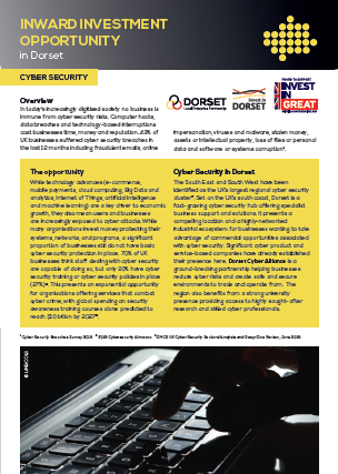 Cyber Security Inward Investment Opportunity