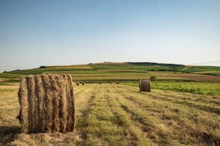 South West Rural Productivity Commission Plan