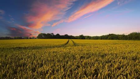 Dorset Agri-Tech Bid Support