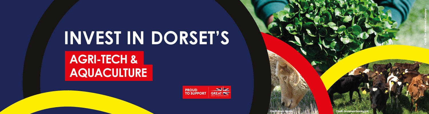Invest in Dorset brochure cover 