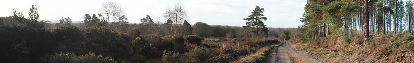 Natural beauty of Dorset Innovation Park