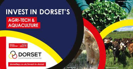 Invest in Dorset: Agri-tech and Aquaculture 