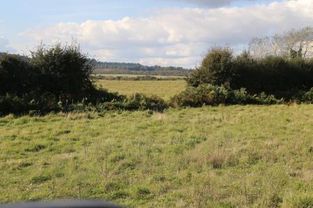 Report predicts ‘economic shock’ for South West rural economy from changes to farming payment scheme