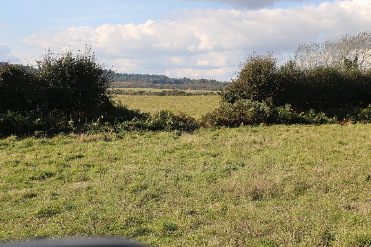 Landscape view at Stokeford site