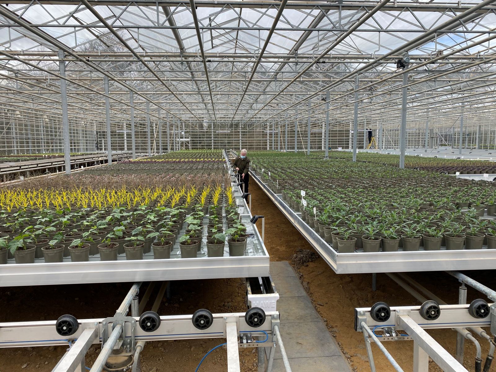 Stewarts Agritech Glasshouse