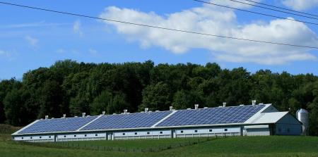 Dorset landscape featuring a solar panel farm