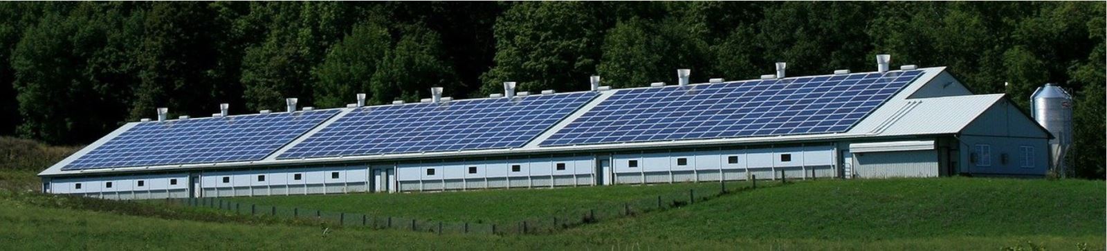 Net Zero Infrastruture
